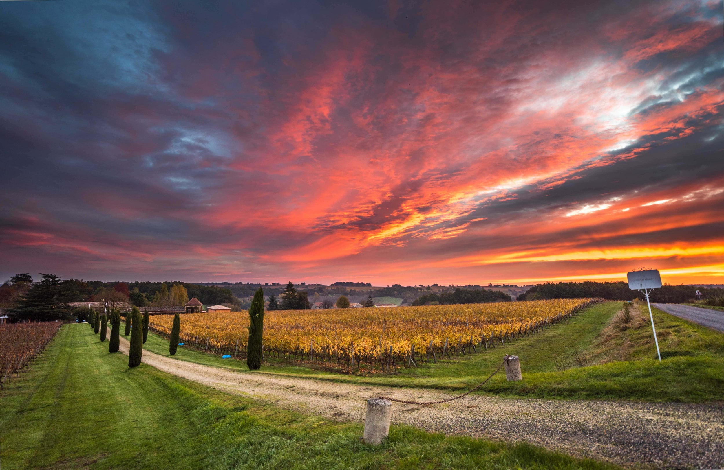 Dégustation Château Martet