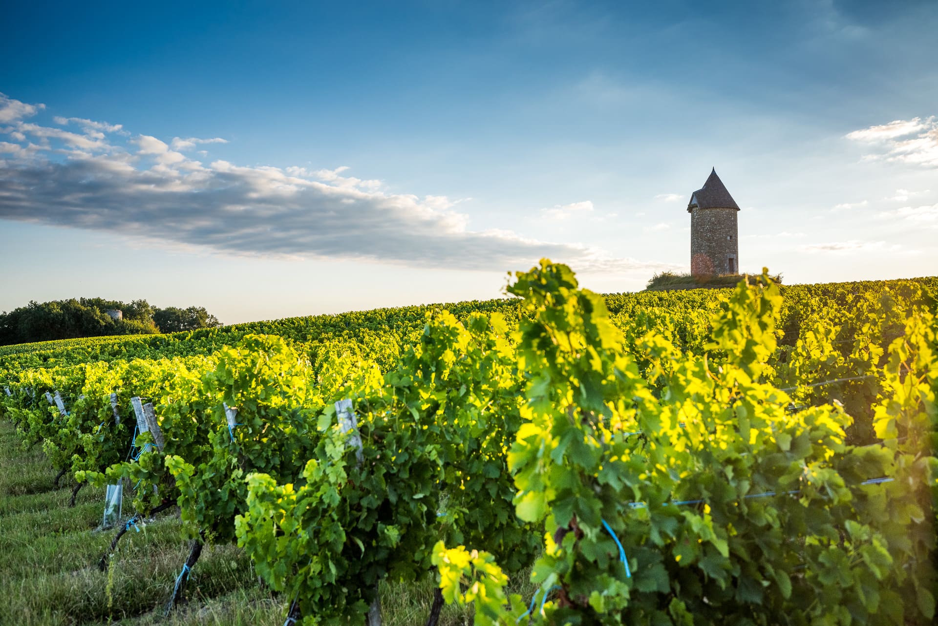 Histoire - Château Martet
